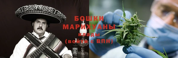 ПСИЛОЦИБИНОВЫЕ ГРИБЫ Белокуриха