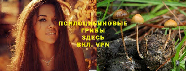 дурь Бугульма