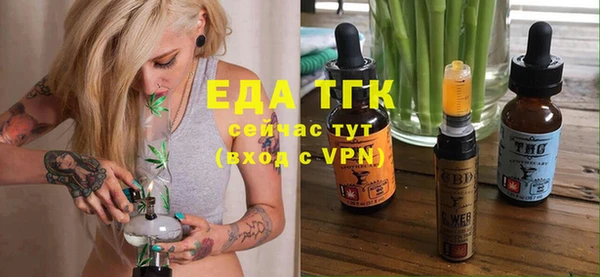 spice Бородино