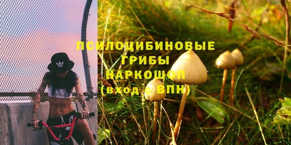 ПСИЛОЦИБИНОВЫЕ ГРИБЫ Белокуриха