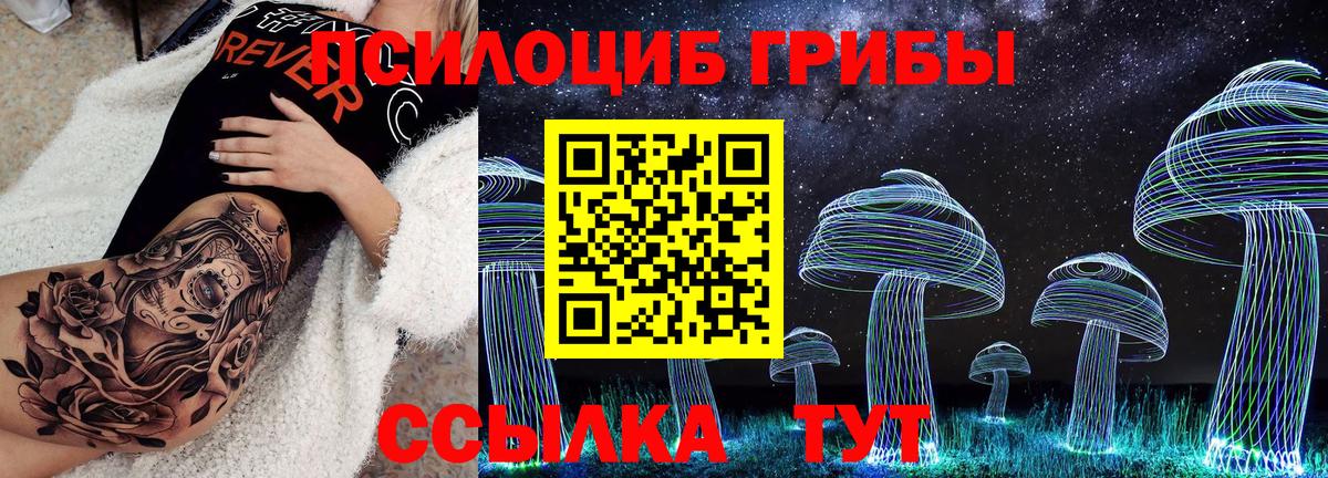 Псилоцибиновые грибы мицелий  Вход с VPN  закладка  Воркута 